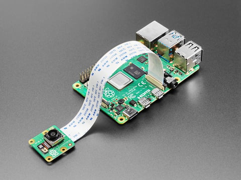A Raspberry Pi Camera Module