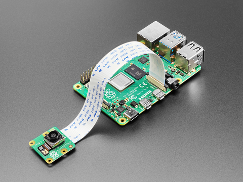 A Raspberry Pi camera module