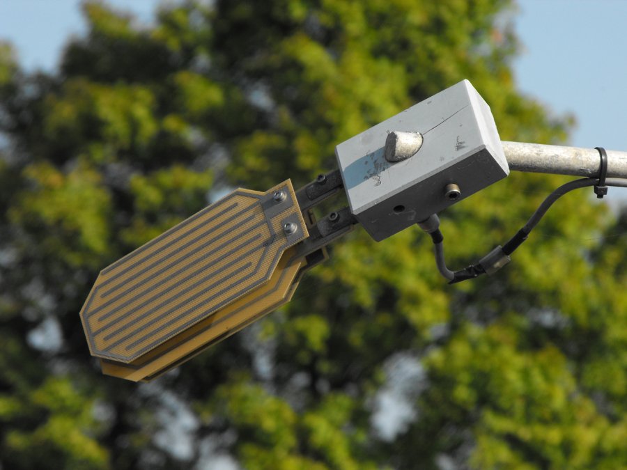 A leaf wetness sensor at a weather station