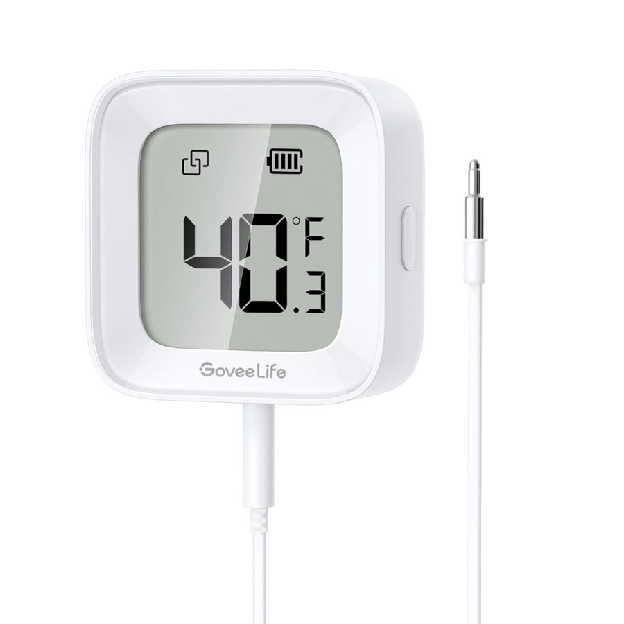 The freezer-rated GoveeLife H5108 with its probe