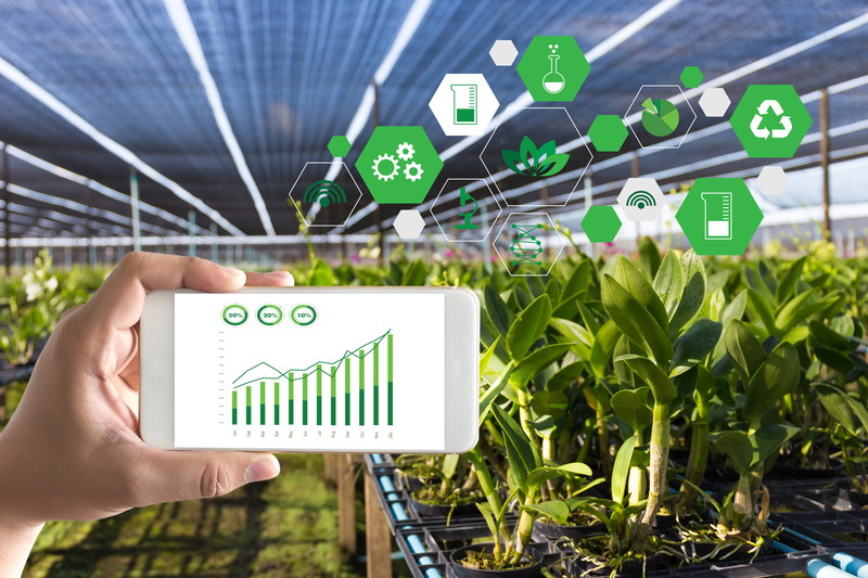 Why Automation is Finally Affordable for CEA Operators - agtech dreamstime s 102689872